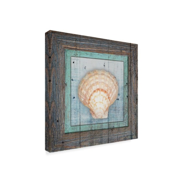 Lightboxjournal 'Framed Gypsy Sea Shell' Canvas Art,35x35